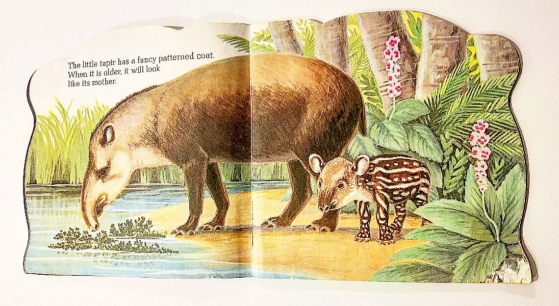 Jungle Babies A Golden Shape Book 1972 Vintage Etsy
