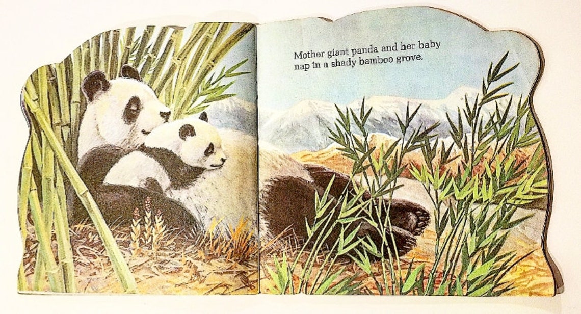 Jungle Babies A Golden Shape Book 1972 Vintage Etsy