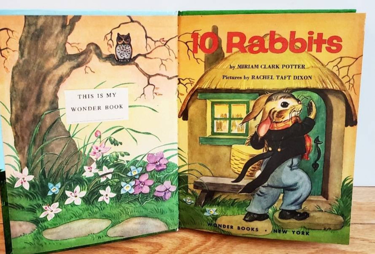 10 Rabbits Book Vintage 10 Rabbits Book Vintage Ten Rabbits Etsy