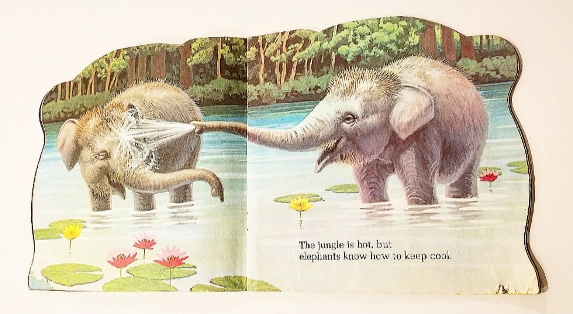 Jungle Babies A Golden Shape Book 1972 Vintage Etsy