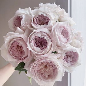 Japanese Rose. Nachuru Rose. 英伦节拍. 清茶 Fragrance