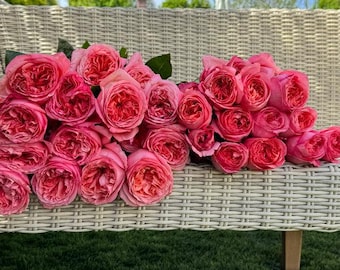 Rose Confiture，果酱 コンフィチュール New Japanese Rose. - Etsy