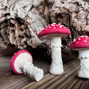 Fairy Garden Decor, Amanita Mushrooms, Red Cap Mushrooms, Woodland Scene, Woodland Decor, Mushroom Decor, Forest Mushrooms, Forest Decor