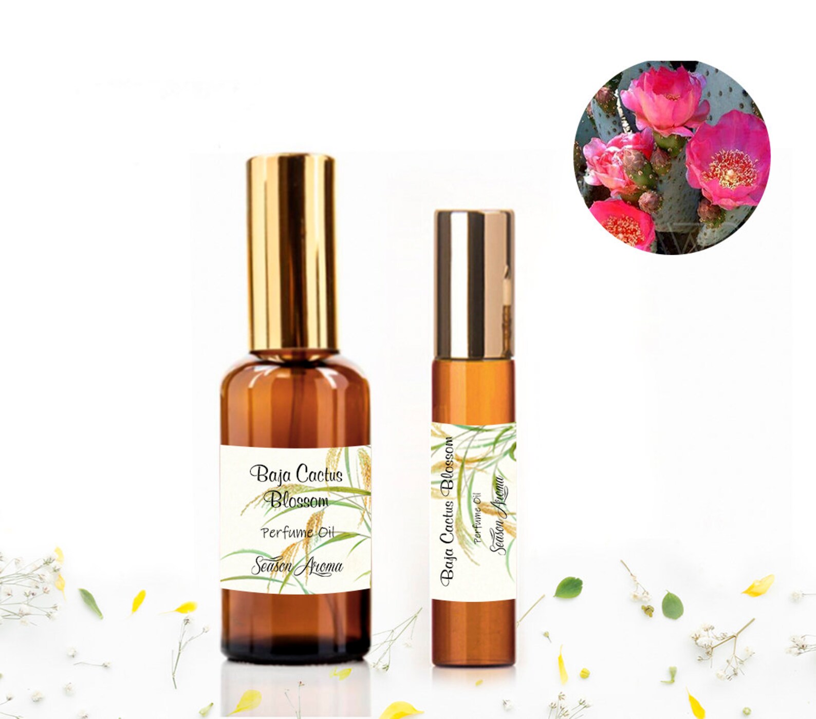 Baja Cactus Blossom Fragrance Oil Body Perfume Roller Etsy