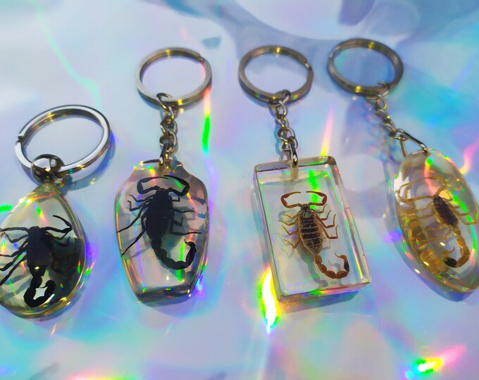 Resinpacked Scorpion Keychains 4 Models Available Etsy