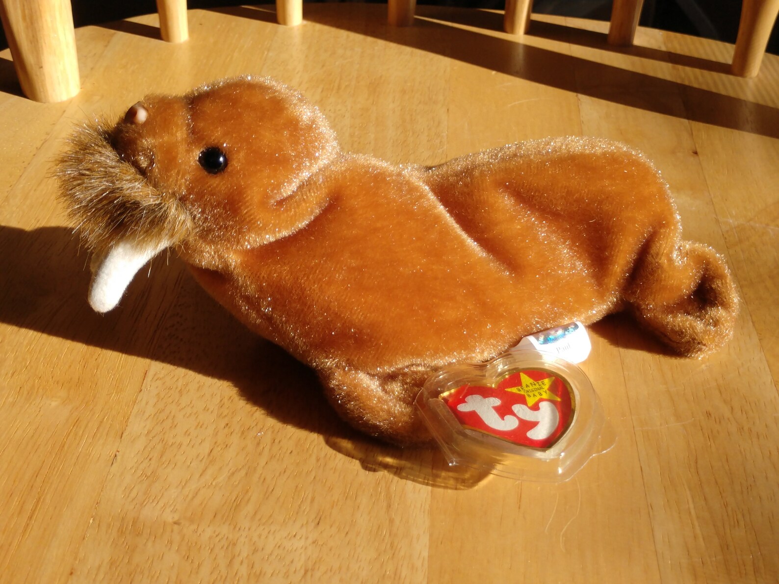 Paul the Walrus 1999 Ty Beanie Baby Brand New W/ Heart Protector - Etsy