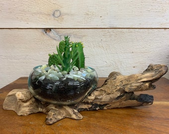 Rustic Succulent Planter | Unique Shallow Terrarium or Candy Dish | Glass and Driftwood Bowl
