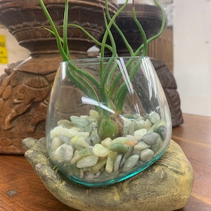 Recycled Glass on Hand Terrarium / Hand Blown Glass Intention Bowl