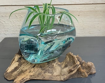 Tiny Terrarium | Succulent Planter | Intention Bowl | Glass and Driftwood Bowl