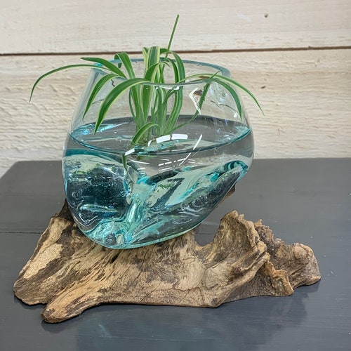 Tiny Terrarium Intention Bowl / Glass and Driftwood Bowl Etsy