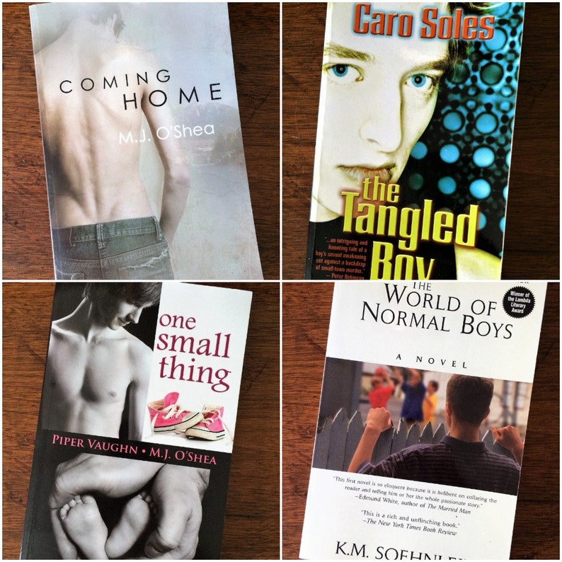 Gay Novels Set of 4 Gay Coming of Age Books Novels Etsy