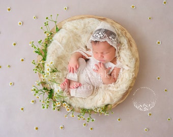 Newborn Girl Digital Backdrop, Chamomile, Daisy, Newborn Photography, Cream Digital Backdrop, Digital Download, Composite