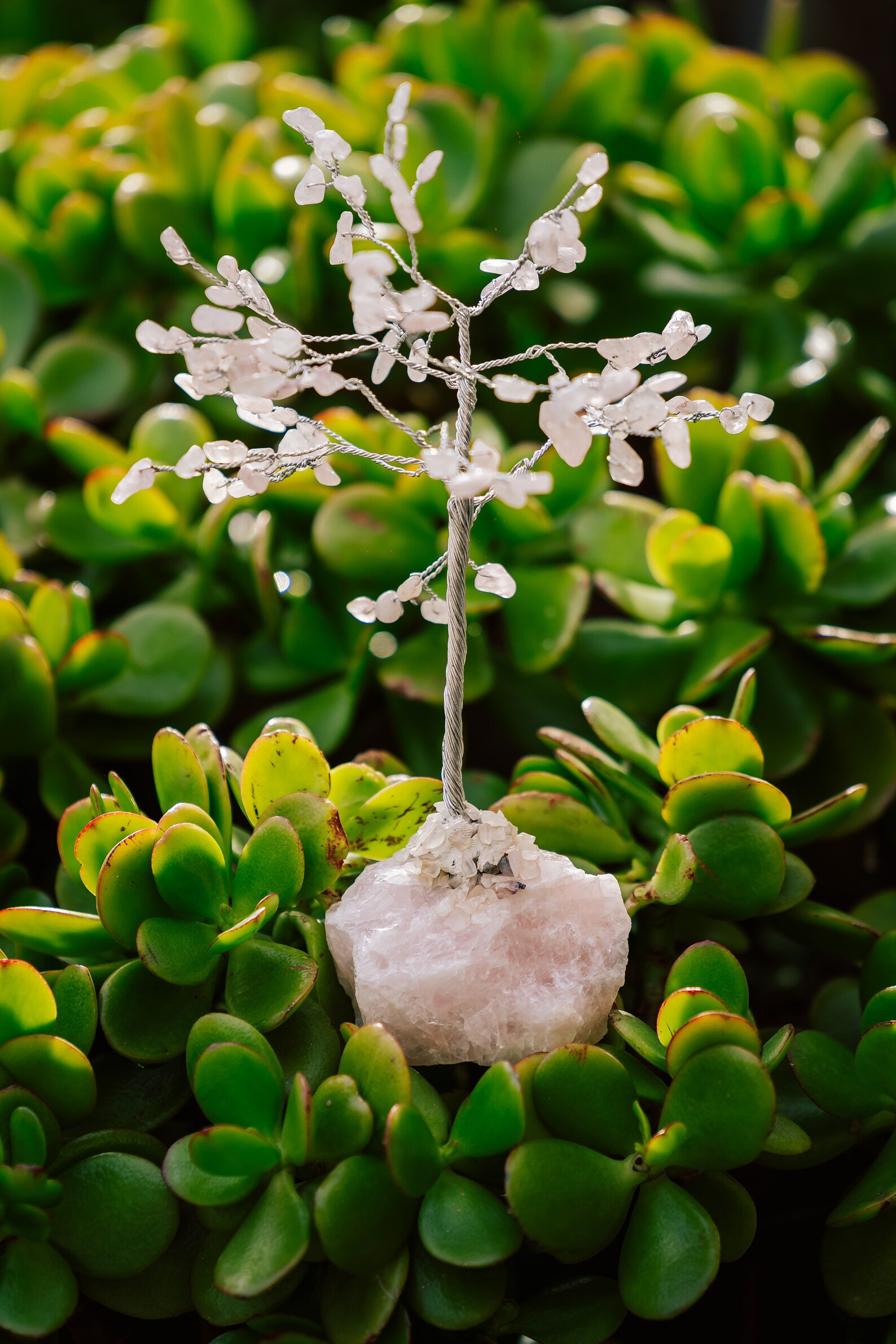 rose quartz tree meaning rose quartz tree meaning
