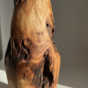 May include: A handcrafted wooden vase with a natural, organic shape. The vase is made from a light brown wood with darker brown knots and grain patterns. The surface has a rough, textured appearance, with a few small holes and crevices.