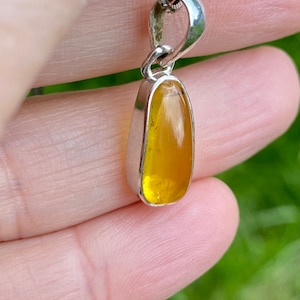 Baltic Amber Sterling Silver Pendant