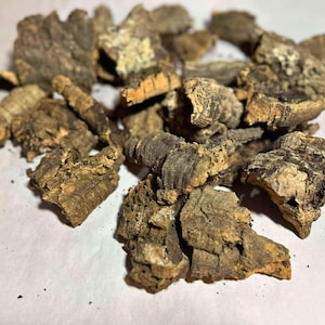 Natural Cork Bark: Reptile Terrarium Decor, Bioactive Habitat (Under 9&quot;)