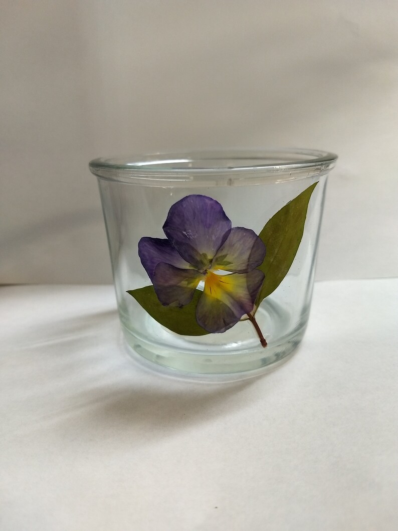Small glass jars and vases pressed flowers waterproof Etsy