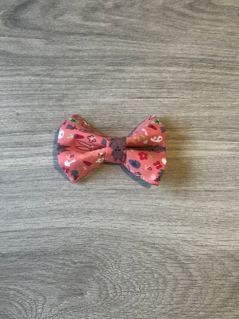 Baby bunnies dog bow