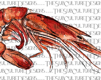 Shrimp