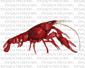 Crawfish Watercolor