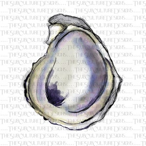 Oyster Watercolor