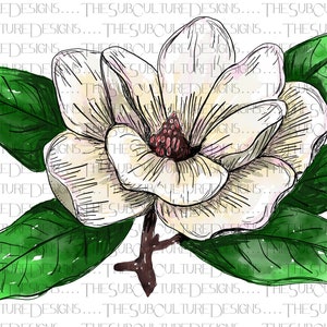 Magnolia Watercolor