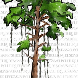 Cypress Tree