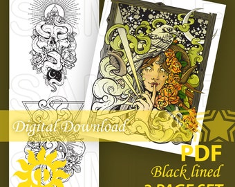 Witch Coloring Pages 3 Pack Witchy Illustration Dark Fantasy Coloring Page Skull Raven and Woman Art Instant Download Printable File PDF
