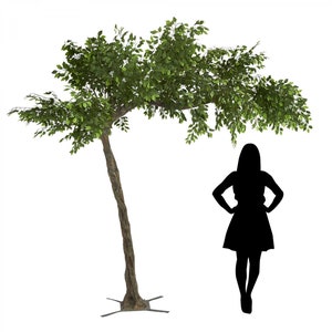 11ft Tall Artificial Grand Arch Fake Fig Leaf Tree Centerpiece - Decorations for Wedding Special Occasions with Identical Branches