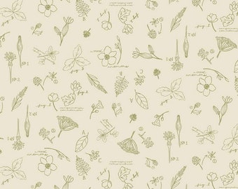 Wildwood Wander | Sketchbook Taffy | Riley Blake Designs | Sold by the 1/2 Yard