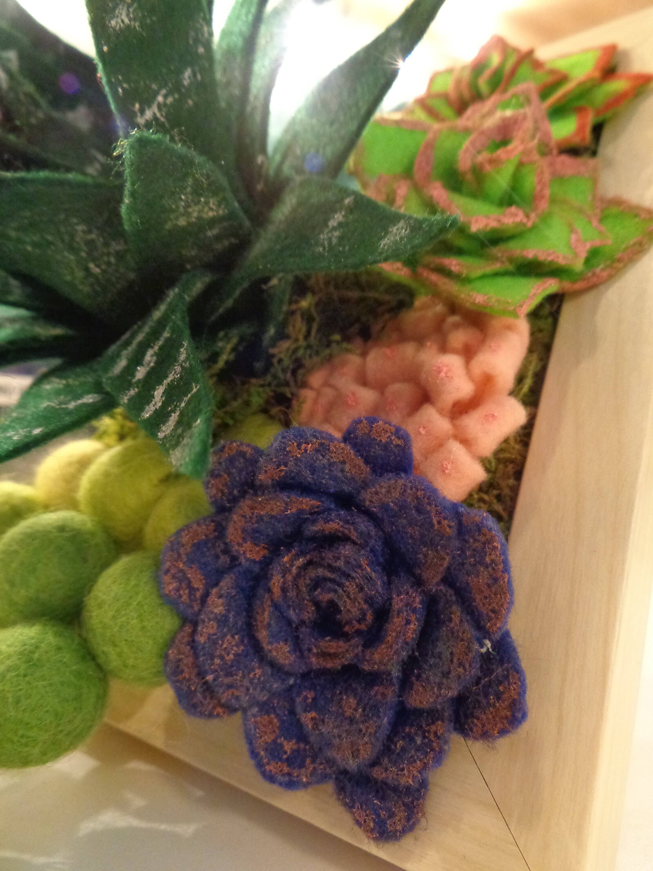 Cadre Déco, Succulents, Mousse, Feutrine/Fabriqué à La Main - Wallart, Succulents & Plants in Felt, 