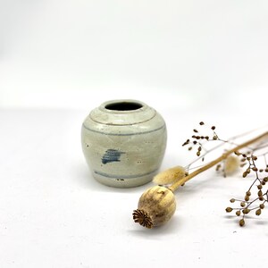 Könnte beinhalten: Kleine, cremefarbene Keramikvase mit horizontalen blauen Streifen und dunklem Innenraum. Neben der Vase liegen eine getrocknete Mohnkapsel und Zweige getrockneter Blumen. Die Vase hat eine runde Form und eine schmale Öffnung.