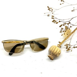 Könnte beinhalten: Vintage Sonnenbrille mit goldfarbenem Rahmen und braunen Gläsern. Die rechteckigen Rahmen sind mit dunklen Bügeln versehen. Die Sonnenbrille wird mit getrockneten Samenkapseln und Stängeln vor weißem Hintergrund präsentiert.