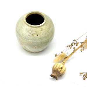 Könnte beinhalten: Eine kleine, runde, hellgrüne Keramikvase mit dunklem Innenraum. Die Vase hat eine strukturierte Oberfläche und wird von getrockneten Samenkapseln und Stängeln begleitet. Die Anordnung befindet sich vor einem weißen Hintergrund.