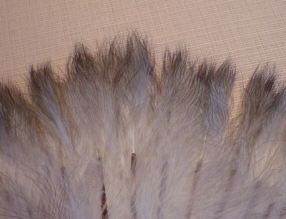 Antique Edwardian 1900s Marabou Feather and Faux … - image 8