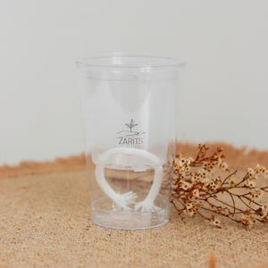 May include: A clear plastic self-watering planter cup featuring a black printed logo of a hand holding a small plant sprout with the text ZARITS below it. A thick white cotton wick is coiled inside the base of the transparent container.