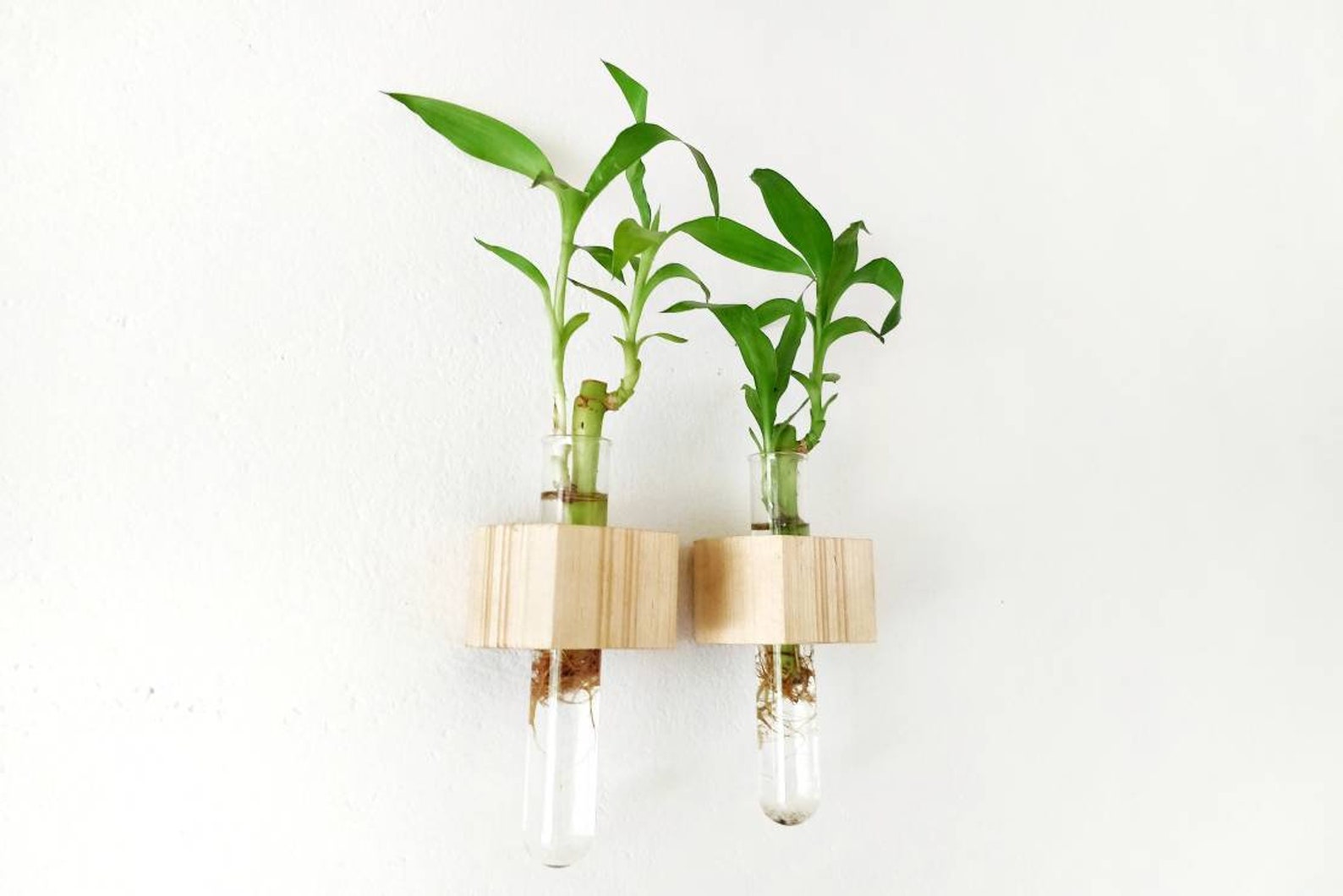 Wood Wall Planter Indoor Propagation Station Wooden