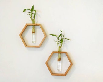 Honeycomb Wall hanging Set of two Propagation Vase, Plant wall decor, living plant wall, Minimal wall decor, Hanging Vase shelf