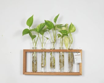 Wall hanging planter propagation station 5 plants indoor garden decorative wooden rectangle plant stand