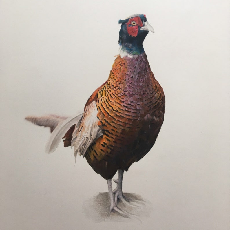 Cecil limited edition fine art print