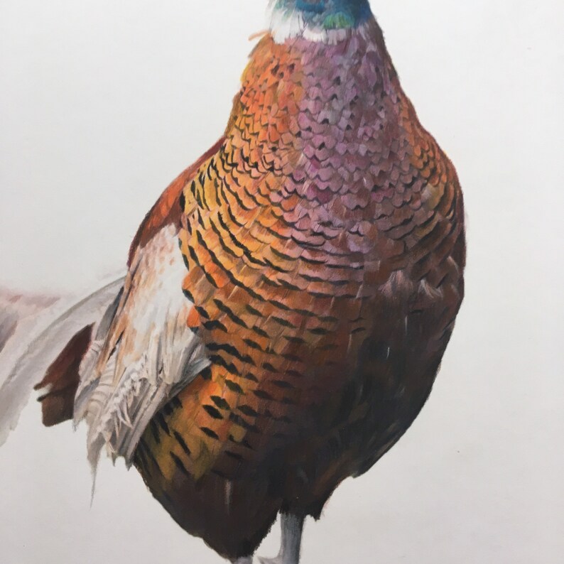 Cecil limited edition fine art print