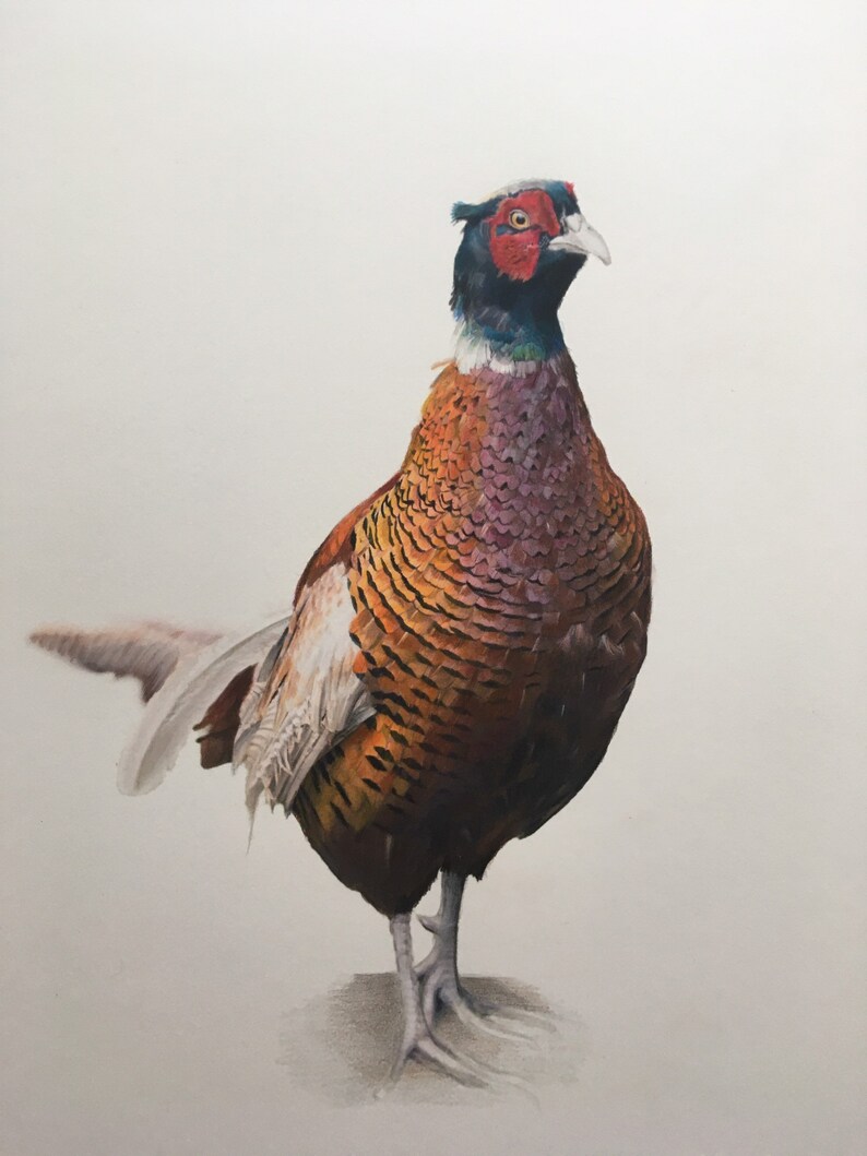 Cecil limited edition fine art print
