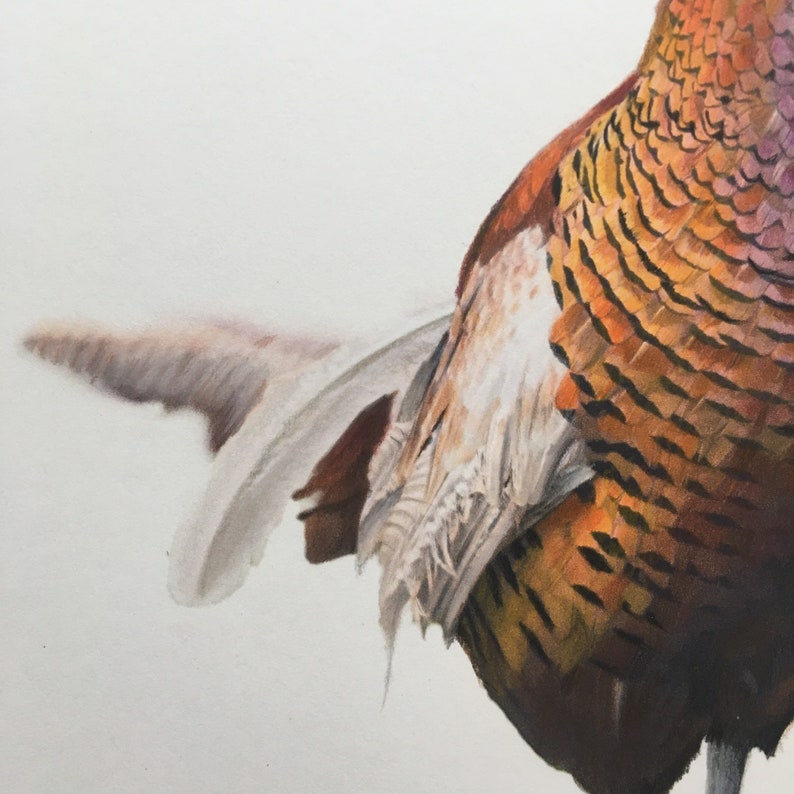 Cecil limited edition fine art print