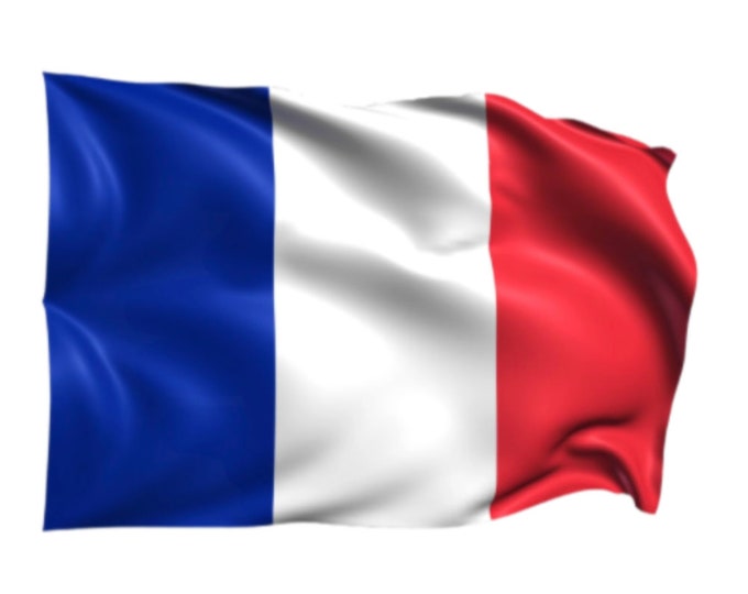 France French National Country Waving Pole Flag Soccer