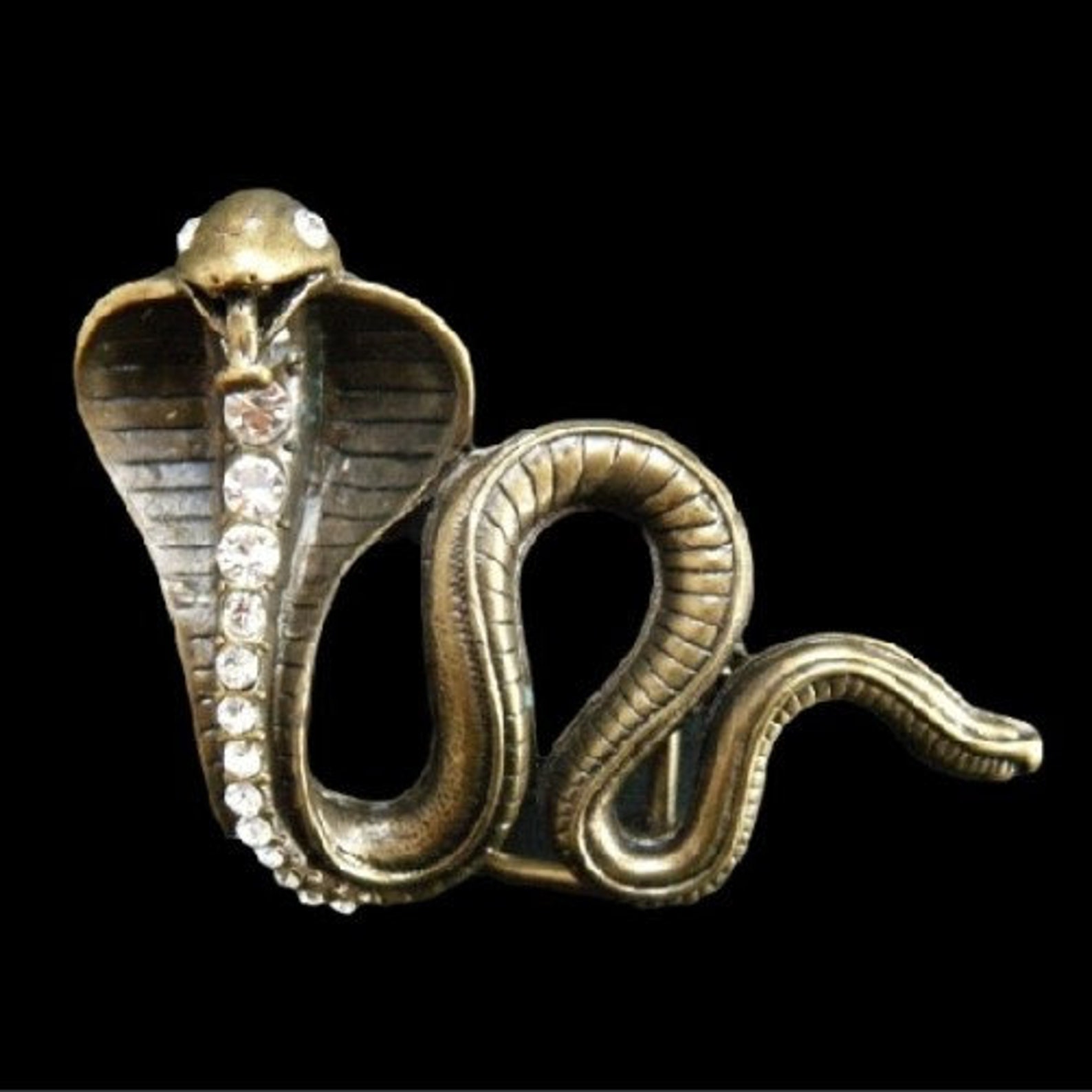Go cobra