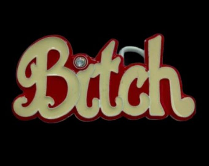 Belt Buckle Bitch Disco Party Queen Name Calling Humor Funny Girly Pop Buckles