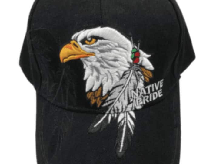 Native Pride American Dreamcatcher Indian Embroidered Cap Hat