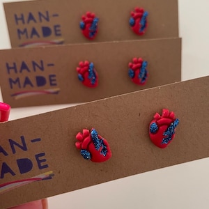 Anatomical Heart Stud Earrings