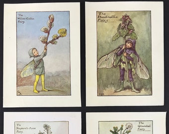 Flower Fairies by Cicely Mary Barker, Willow-Catkin, Dead-nettle, Shepherds-Purse and Groundsel fairy original colour prints c1935