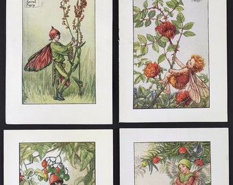 c1935 Flower Fairies by Cicely Mary Barker, the Sorel fairy, Robins Pincushion, Nightshade Berry and the Yew fairy original colour prints
